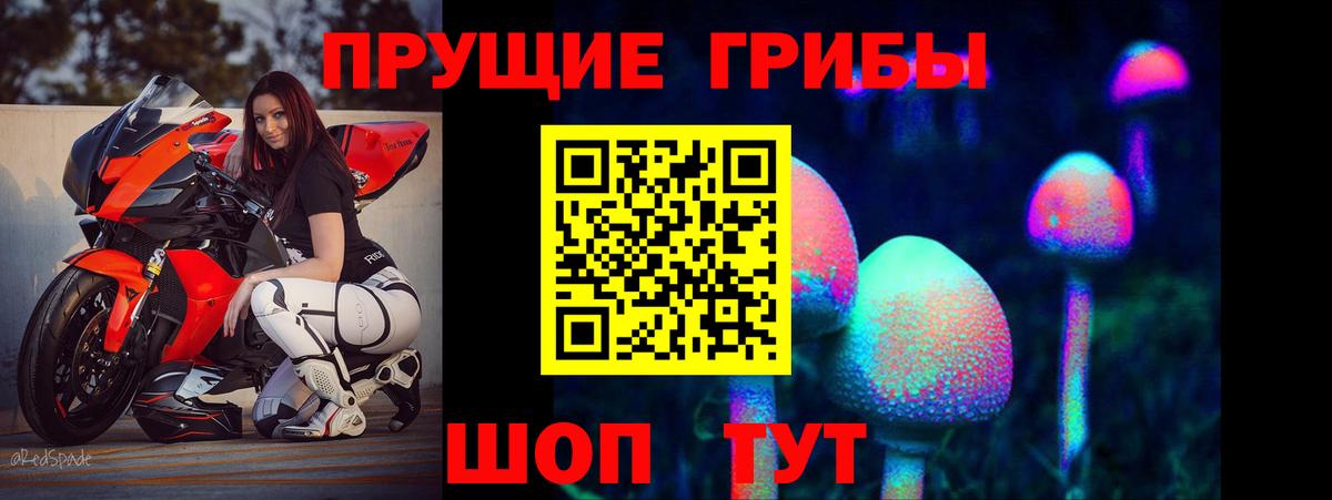 Псилоцибиновые грибы Cubensis Ярославль