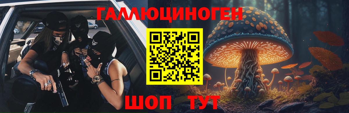 Ярославль  Галлюциногенные грибы мухоморы  Вход с VPN 